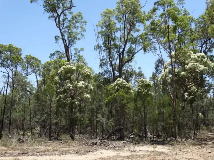 Sixth view of Homely rural property listing, Lot 15 Mary Road, Wieambilla QLD 4413
