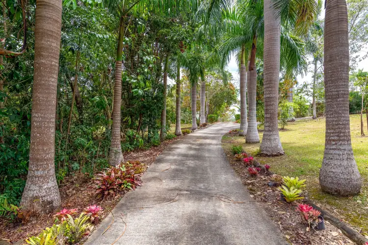 Fifth view of Homely rural property listing, 37 Stevens Road, Julatten QLD 4871