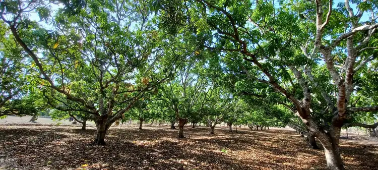Second view of Homely land listing, 730 Miles Rd, Eva Valley NT 822