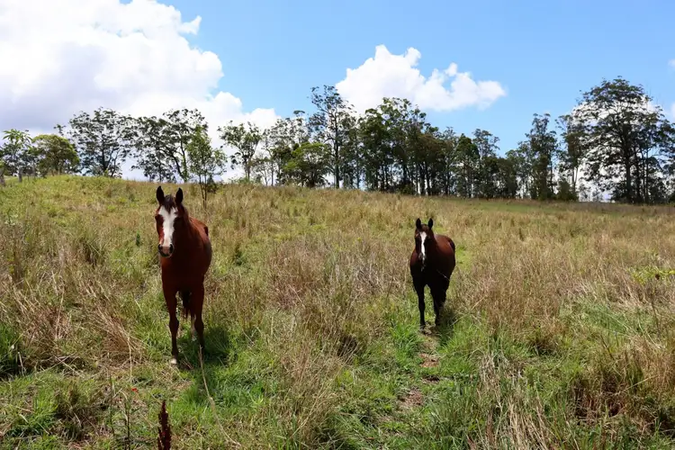 Fourth view of Homely rural property listing, 2592 Anderleigh Road, Kia Ora QLD 4570
