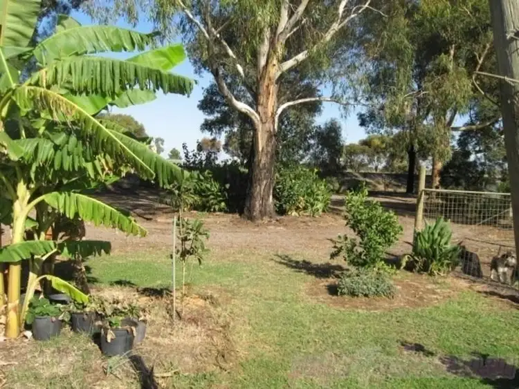 Fifth view of Homely house listing, 8 Maher Drive, Swan Hill VIC 3585