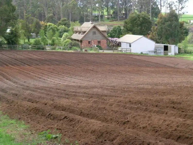 Fifth view of Homely rural property listing, 41 Redhills Road, Moriarty TAS 7307