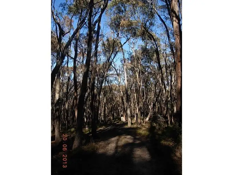 Seventh view of Homely rural property listing, Address available on request