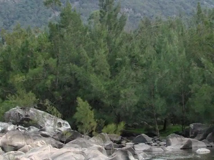 Fifth view of Homely house listing, 311 Burnt Flat Road, High Range NSW 2575