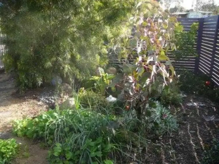 Seventh view of Homely rural property listing, 5 Pett Street, Skipton VIC 3361