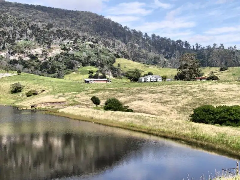 Main view of Homely house listing, 173 PUNKALLA TILBA ROAD, Central Tilba NSW 2546