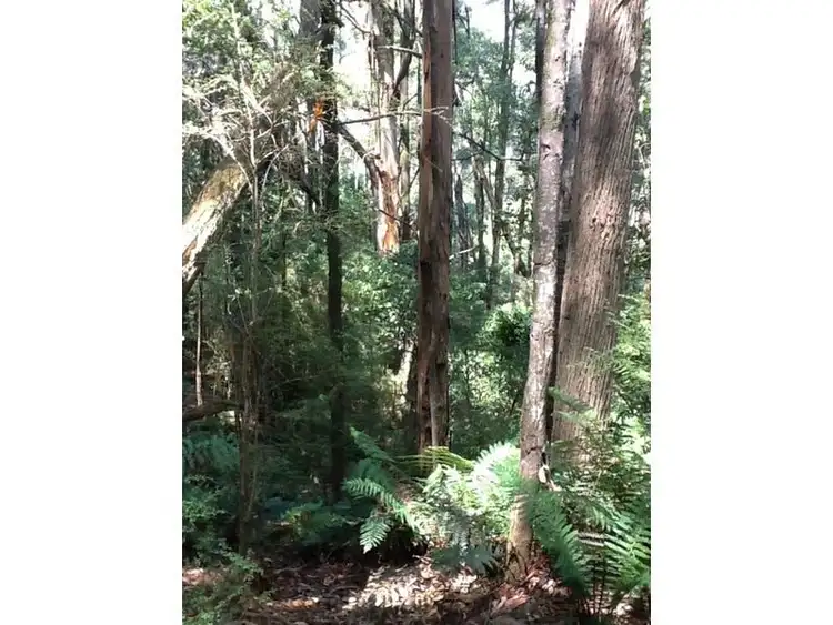 Fifth view of Homely rural property listing, 235 Coupe Road, Vesper VIC 3833