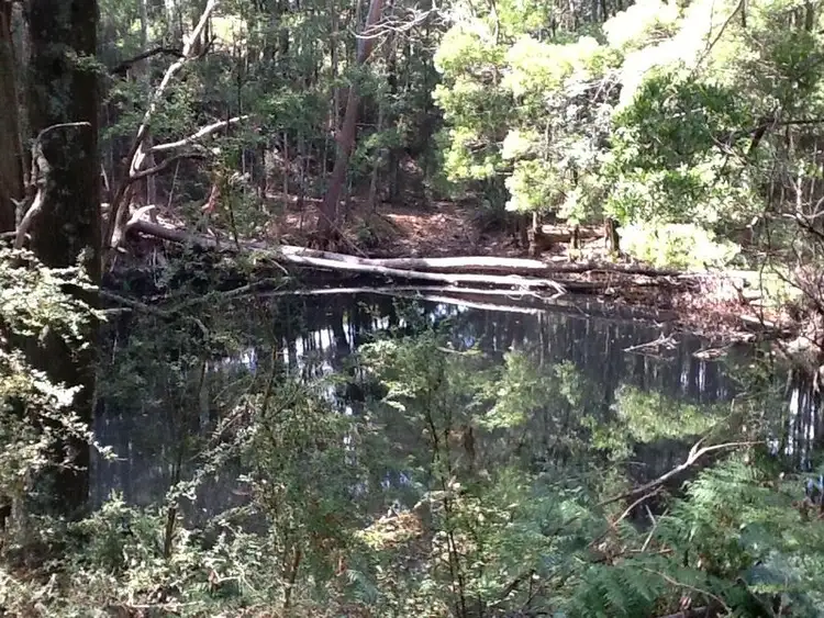 Seventh view of Homely rural property listing, 235 Coupe Road, Vesper VIC 3833
