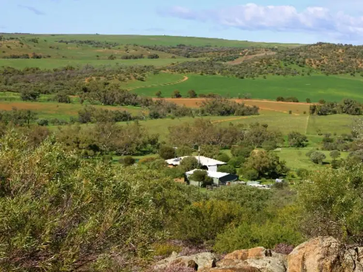 Main view of Homely rural property listing, 393 Isseka Road East, Bowes WA 6535