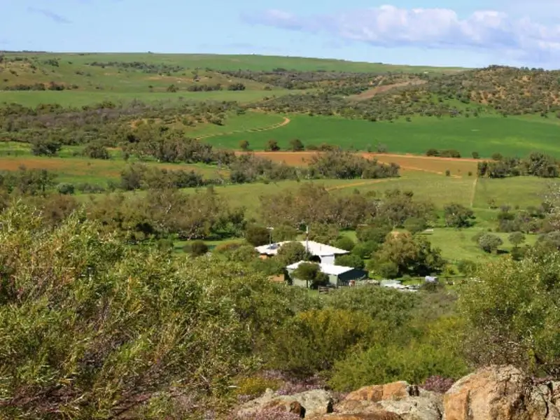 Main view of Homely rural property listing, 393 Isseka Road East, Bowes WA 6535