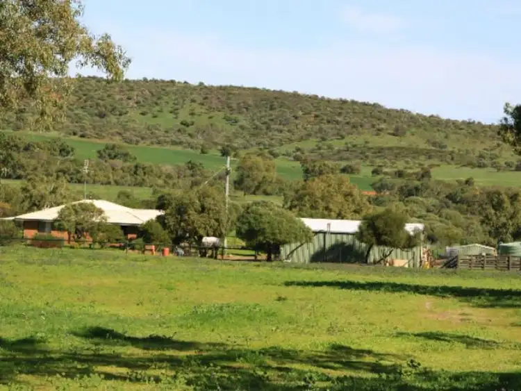 Third view of Homely rural property listing, 393 Isseka Road East, Bowes WA 6535
