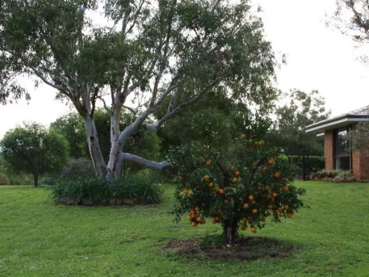 Fourth view of Homely rural property listing, 393 Isseka Road East, Bowes WA 6535