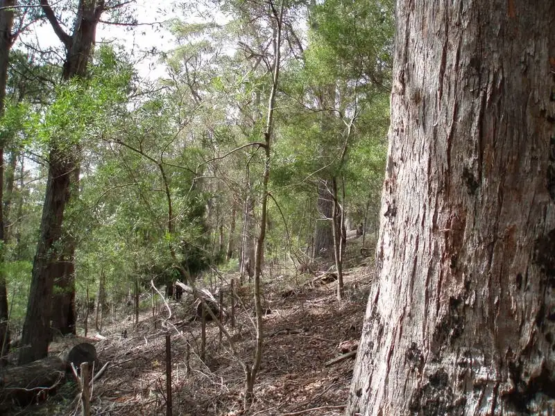 Main view of Homely land listing, 252 Groombridges Road, Kettering TAS 7155