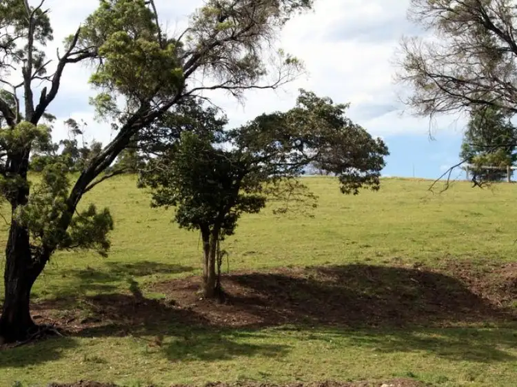 Main view of Homely land listing, LOT 132, 211 Punkalla Tilba Road, Central Tilba NSW 2546