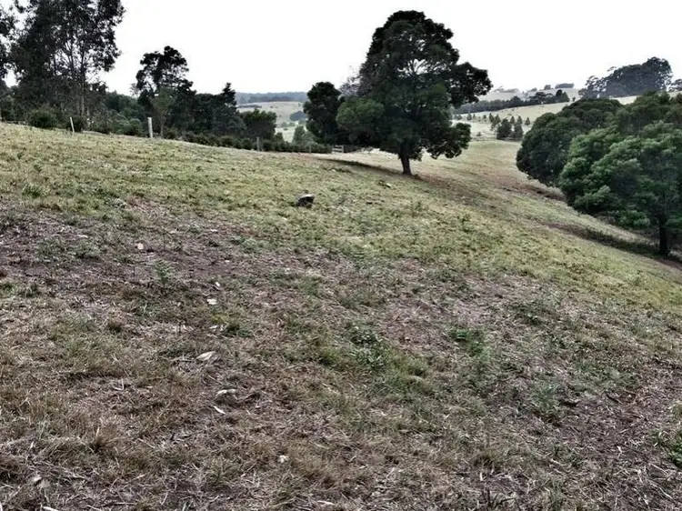 Second view of Homely land listing, LOT 132, 211 Punkalla Tilba Road, Central Tilba NSW 2546