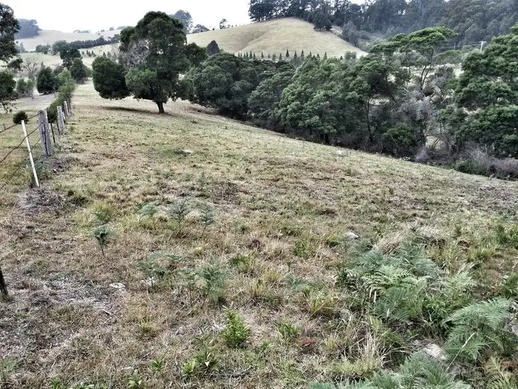 Third view of Homely land listing, LOT 132, 211 Punkalla Tilba Road, Central Tilba NSW 2546