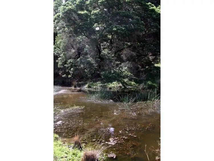 Fifth view of Homely land listing, LOT 132, 211 Punkalla Tilba Road, Central Tilba NSW 2546