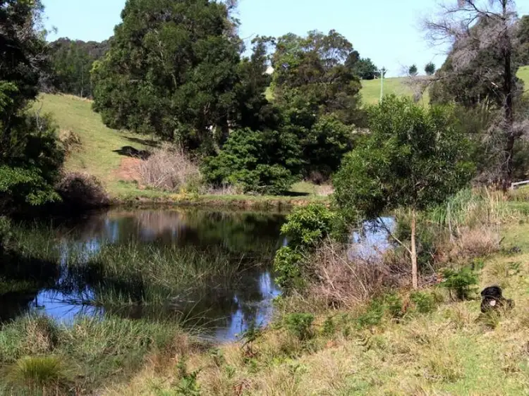 Seventh view of Homely land listing, LOT 132, 211 Punkalla Tilba Road, Central Tilba NSW 2546