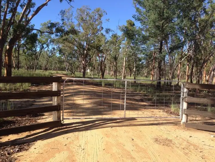 Second view of Homely rural property listing, 671 Oregon Road, Warialda NSW 2402