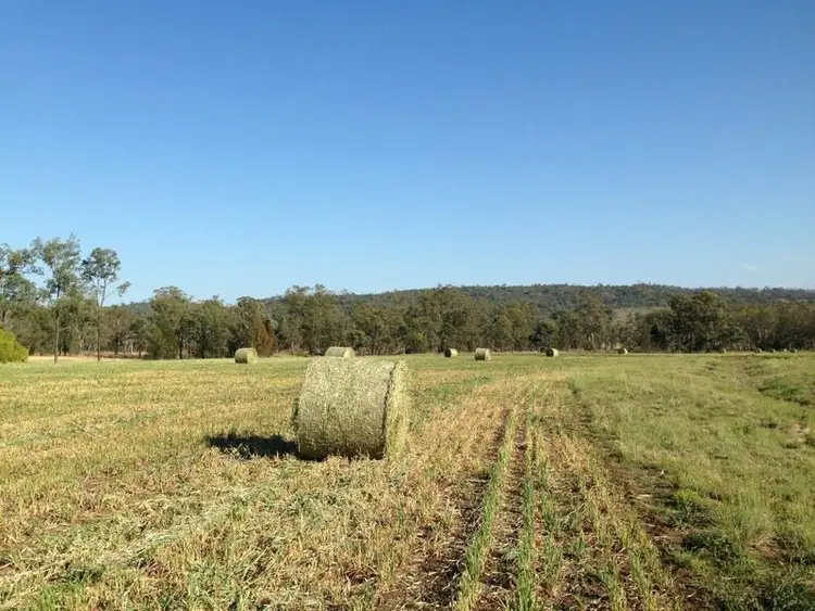 Third view of Homely rural property listing, 671 Oregon Road, Warialda NSW 2402