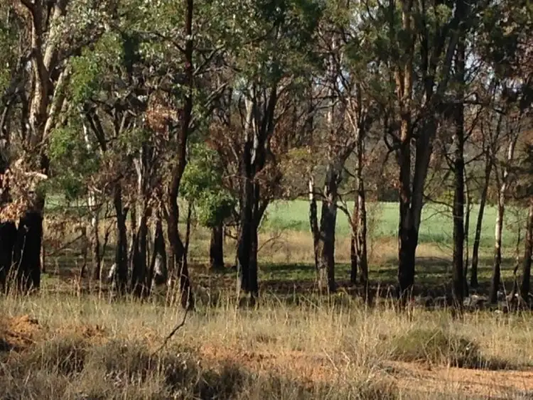 Fourth view of Homely rural property listing, 671 Oregon Road, Warialda NSW 2402