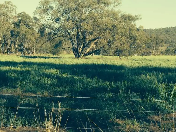 Fifth view of Homely rural property listing, 671 Oregon Road, Warialda NSW 2402