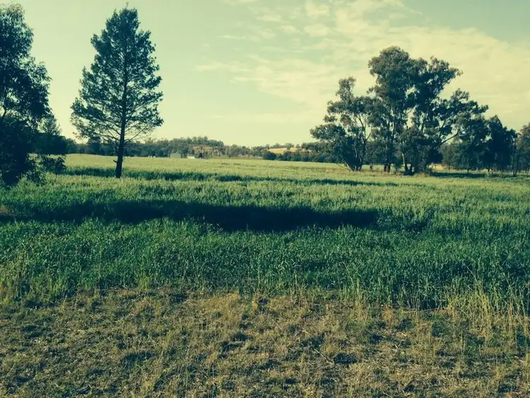 Sixth view of Homely rural property listing, 671 Oregon Road, Warialda NSW 2402