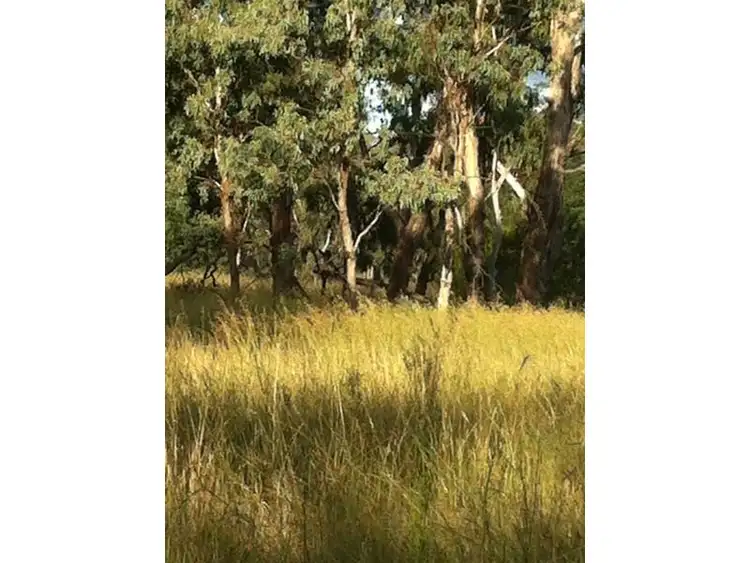 Seventh view of Homely rural property listing, 671 Oregon Road, Warialda NSW 2402