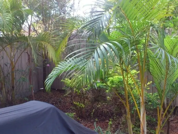 Sixth view of Homely townhouse listing, 67 Lockrose Street, Mitchelton QLD 4053