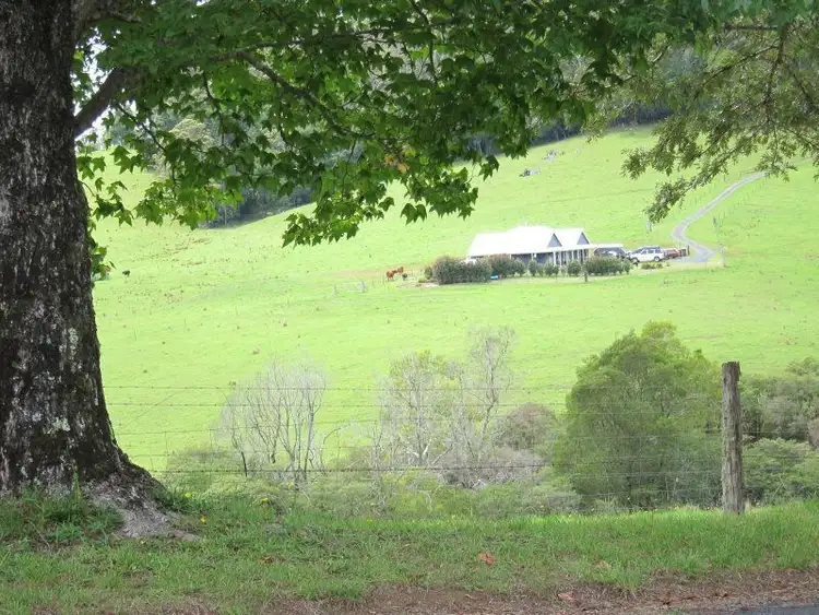Second view of Homely rural property listing, 1802 Eastern Dorrigo Way, Ulong NSW 2450
