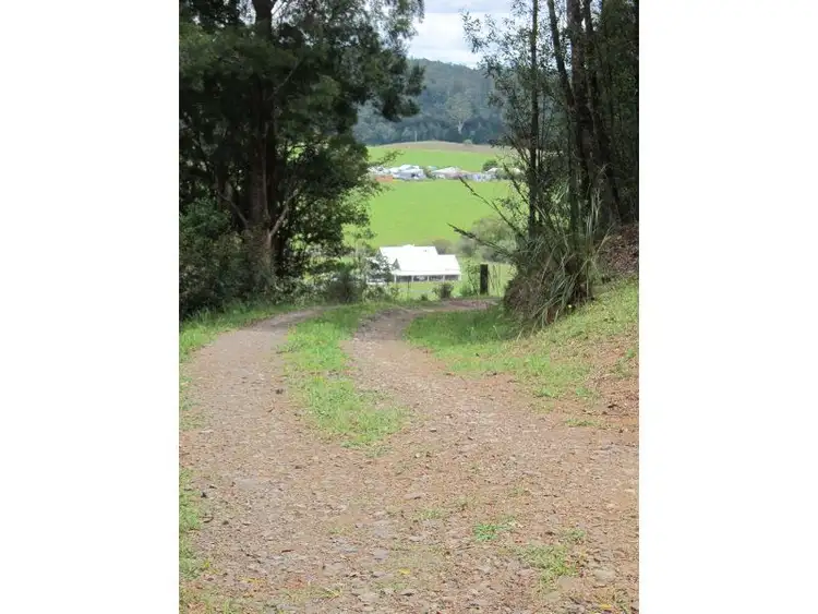 Third view of Homely rural property listing, 1802 Eastern Dorrigo Way, Ulong NSW 2450