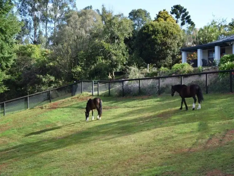 Fifth view of Homely house listing, 68 Flaxton Mill Road, Flaxton QLD 4560