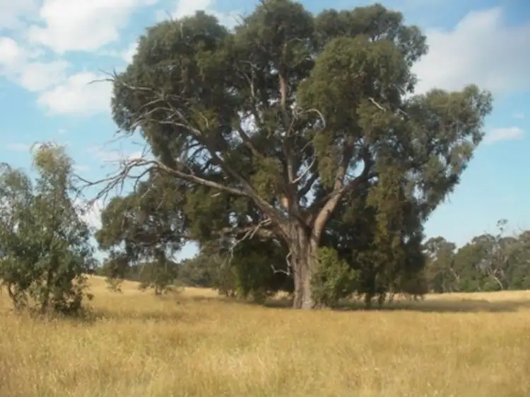 Fourth view of Homely land listing, 357 Lancefield Tooborac Road, Lancefield VIC 3435