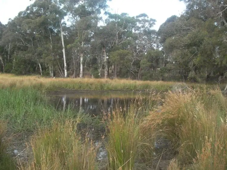 Fifth view of Homely land listing, 357 Lancefield Tooborac Road, Lancefield VIC 3435