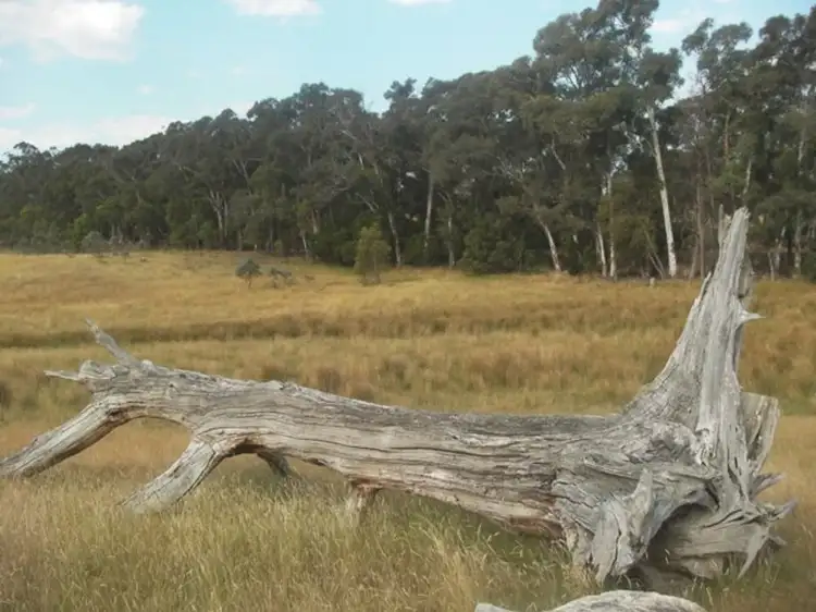 Sixth view of Homely land listing, 357 Lancefield Tooborac Road, Lancefield VIC 3435