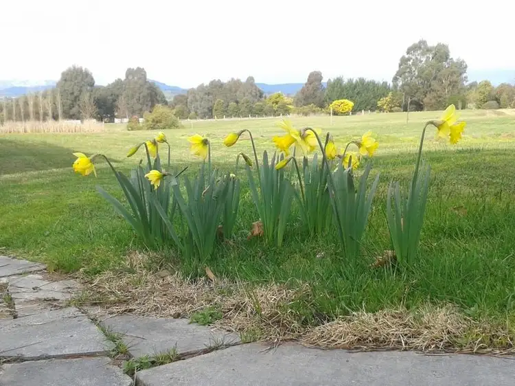 Main view of Homely land listing, Address available on request