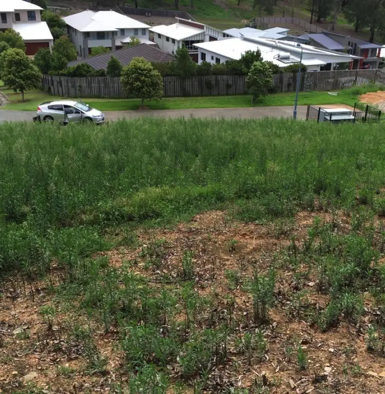 Second view of Homely land listing, 8 Ensor Street, Mudgeeraba QLD 4213