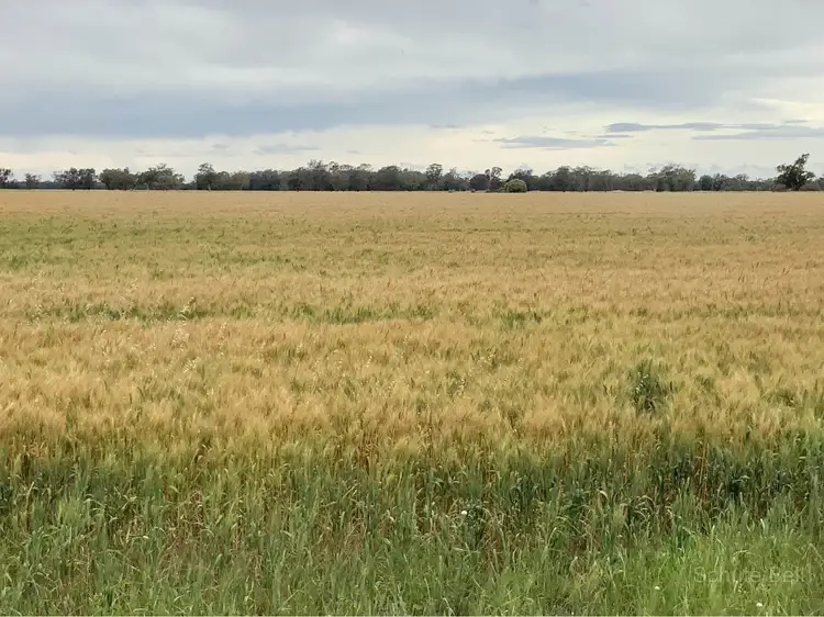 Weemala The McGrane Way, Tullamore NSW 2874