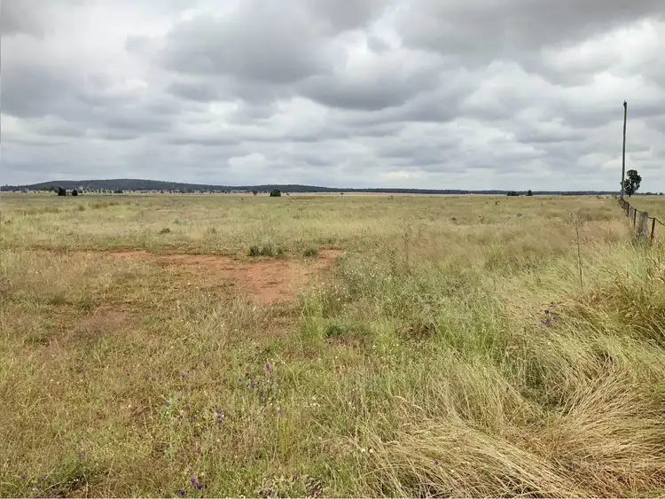 Fifth view of Homely rural property listing, . Glenbrook, Parkes NSW 2870