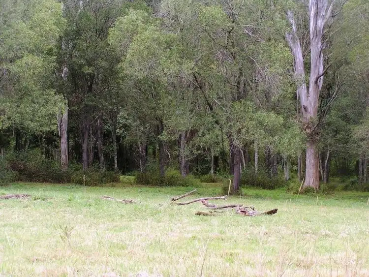 Fourth view of Homely land listing, 85 Tamaree Road, Cedar Creek QLD 4207