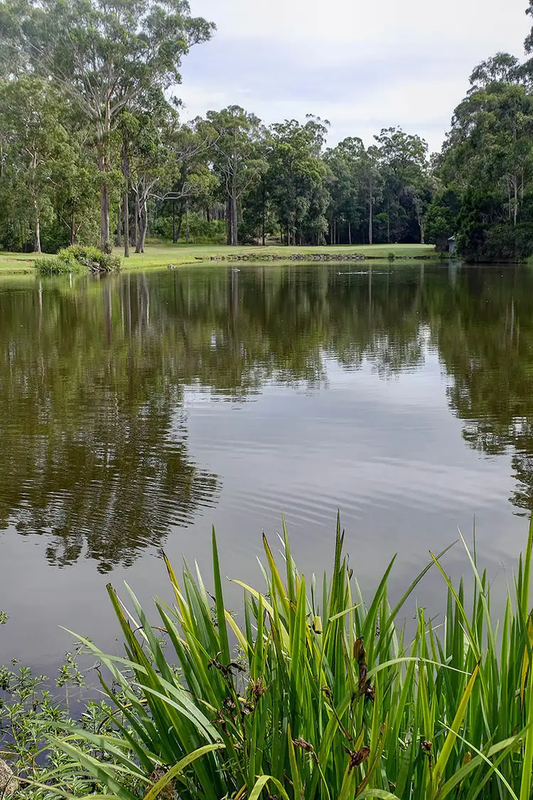 Third view of Homely house listing, 17 Coastal View Drive, Tallwoods Village NSW 2430