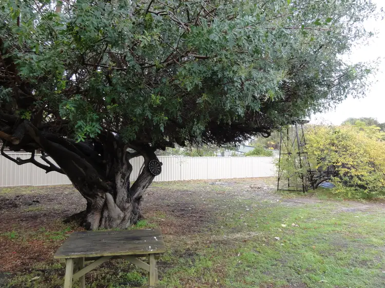 Fifth view of Homely house listing, 18 France Street, Mandurah WA 6210