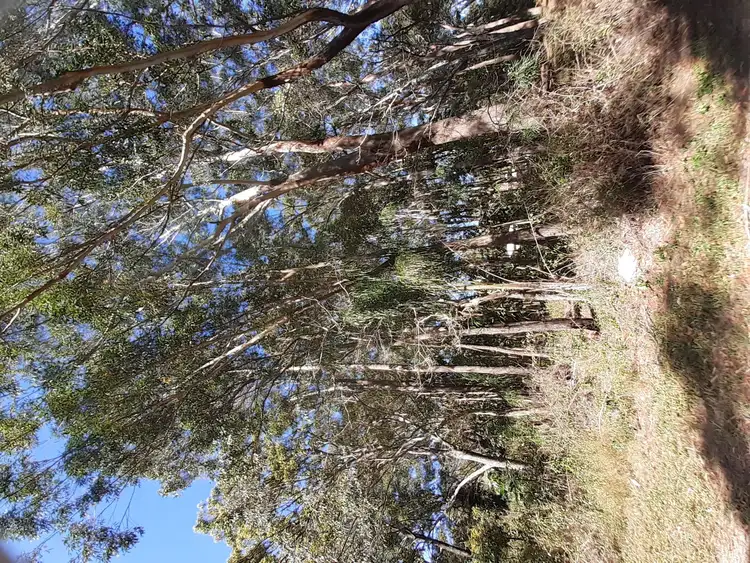 Second view of Homely land listing, 10 Woomera Street, Russell Island QLD 4184