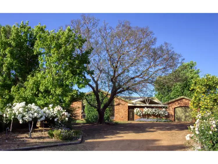 Main view of Homely house listing, 124 Moss Ave, Narromine NSW 2821
