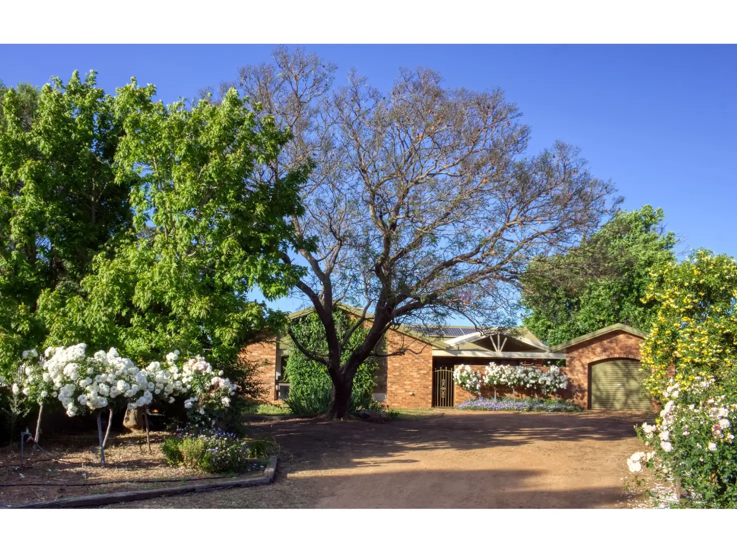 Main view of Homely house listing, 124 Moss Ave, Narromine NSW 2821