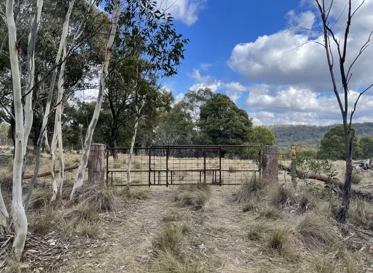 Main view of Homely rural property listing, 211 Cupitts Lane, Sunny Corner NSW 2795