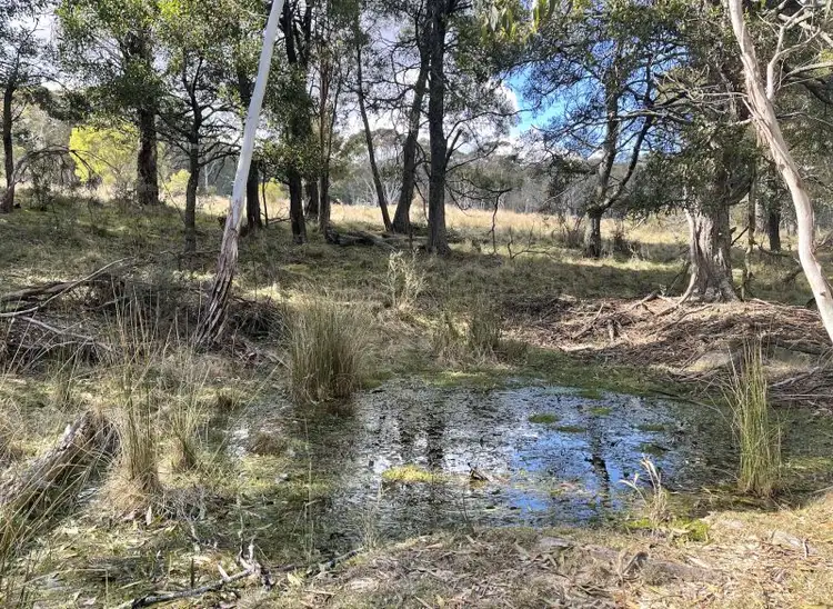 Second view of Homely rural property listing, 211 Cupitts Lane, Sunny Corner NSW 2795
