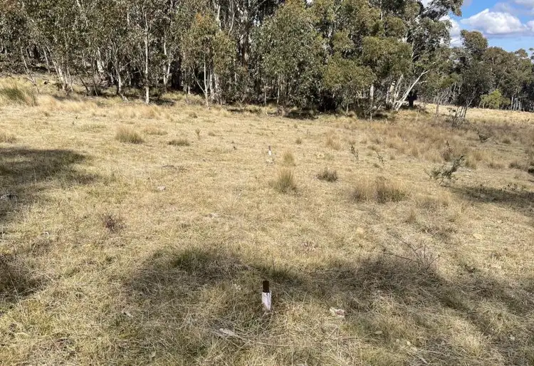 Third view of Homely rural property listing, 211 Cupitts Lane, Sunny Corner NSW 2795