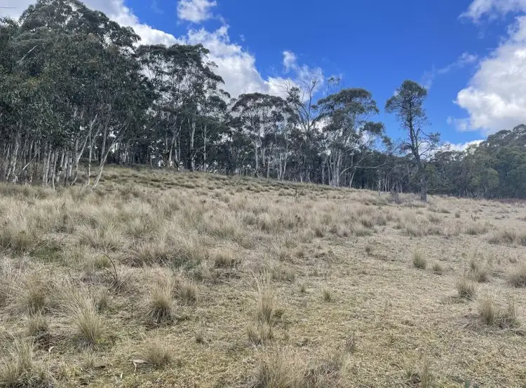 Fourth view of Homely rural property listing, 211 Cupitts Lane, Sunny Corner NSW 2795