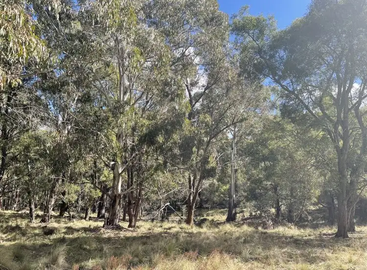 Fifth view of Homely rural property listing, 211 Cupitts Lane, Sunny Corner NSW 2795